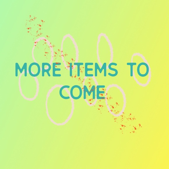 CLOSET CLEANOUT - Picture 2 of 3